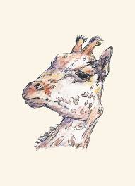 Click on individual houses to sharpen the drawings. Giraffe Dan Tabata