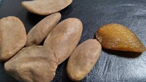 Image result for Picralima nitida