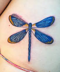 They are considered to be a famous choice for tattoos designs, mainly because you can do so much with them and they can compliment other. 63 Beautiful Dragonfly Tattoo Designs Designbump