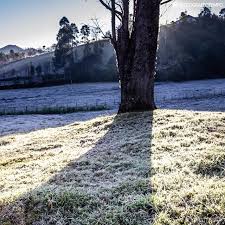 Check spelling or type a new query. El Nino X Onda De Frio De Julho 2019 Noticias Climatempo