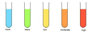 Food Tests Benedicts Test For Reducing Sugar Brilliant