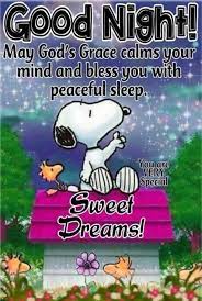  50 Best Good Night Quotes And Sayings Good Night Funny Snoopy Quotes Good Night Quotes