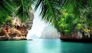 Acheter Une Ile Deserte Ile Deserte Idee Voyage Thailande