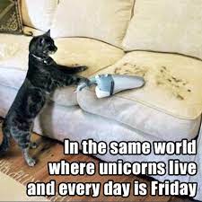 Checkout happy friday memes who give you joy, fun, happy life, and it makes us laughed. Friday Funnies Carpet Cleaning Memes Carpet Cleaning Professional
