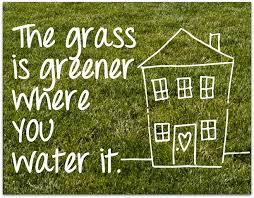 3 Ways To Overcome The Grass Is Greener Syndrome