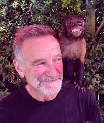 You better be celebrating the most superior actor today! Happy birthday  Robin!!! 🌹🌹🌹🌹