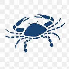 Your free yearly horoscope for 2021 is all about the zone of your chart that talks about money your cancer horoscope for 2021 is a lot less intense than 2020! Hindu Astrology Images Hindu Astrology Transparent Png Free Download