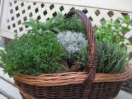 Ein Korb Voller Krauter Garten Deko Spiele Im Garten Gartendekoration