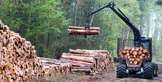 A cord of wood is a pile of wood stacked four feet by eight feet by four feet for a volume of 128 cubic feet. 2021 How Much Is A Cord Of Wood More Firewood Facts