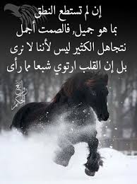 Pin By Azhar Alkenany On صور Photo Quotes Poster Photo