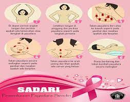 Berikut ini cara membesarkan payudara dengan cepat untuk menambah ukuran payudara dengan cepat dan aman, bisa menggunakan ramuan herbal alami, ada beberapa ramuan herbal sederhana, yang dapat di gunakan untuk merawat. Cara Mengesan Kanser Payudara Serta Punca Penyebab Ez Hamil