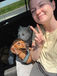 Working couple looking to relocate are Looking for large two bed house  possibly 3 bedroom Bamber bridge Preston area must accept a dog