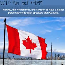 Norway Has Higher Percentage Of English Speakers Funny Weird Facts Norway Facts Fun Facts