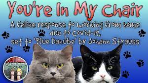 Pin On Cute And Funny