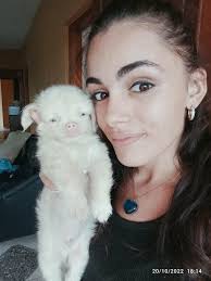 Sol Palmeras Varadero Cuba