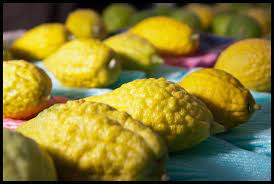 Sukkot