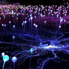 Spark On Instagram Magnificent Field Of Light Installation Art By Brucemunrostudio At Paso Robles Htt Installation Art Light Installation Instagram