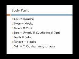Pin On Tamil