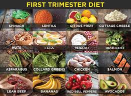Foods To Eat When Pregnant First Trimester Diet