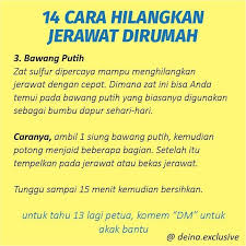 Cara menghilangkan jerawat dengan cepat seperti dengan bawah putih, minyak kelapa, tee tree oil, dll. 14 Cara Hilangkan Jerawat Dirumah