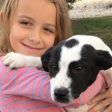 Reviews & Testimonials