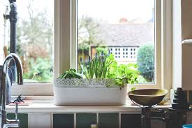 Once danger of frost has passed, herbs can be directly seeded into the garden. How To Properly Start A Herb Garden Indoors Or Outdoors