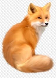 L think monkeys аrе __animals the in the zoo. Animals 166 Png Tiger Squirrel Cat Badger Raccoon Camels Kangaroo Monkey Hedgehog Free Png Images On