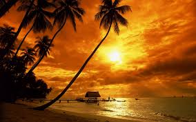 We did not find results for: Tropical Sunset Beach Hd Wallpaper
