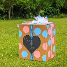 Whatever type of gender reveal you choose, there are lots of great ways you can diy one to make it even more special. 21 Unique Gender Reveal Ideas Ways To Announce Baby S Sex 2021