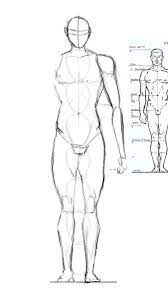 Discover his tips for drawing realistic anatomical figures! Male Anatomy Drawing Exercise By Missdelarocha On Deviantart