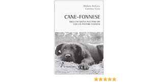 Cane da pastore fonnese regione: Cane Fonnese Solo Chi Sogna Puo Parlare Con Un Pastore Fonnese Michele Belfatto Caterina Viola Amazon De Bucher