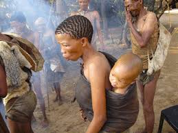 Image result for Cucumis kalahariensis