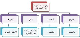 الممنوع من الصرف وعلامات إعرابه ملزمتي