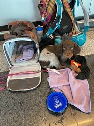 COI Chronicles Part III