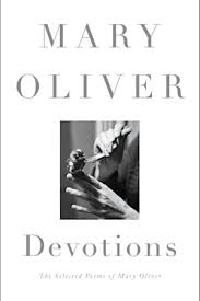 45 Of The Best Poetry Books Of All Time Mary Oliver Poetry Books Mary Oliver Poems