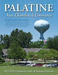When something like this happens, it becomes necessary to remove the tree in a secure and professional manner. Palatine Il Community Guide By Town Square Publications Llc Issuu
