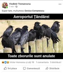 Dacă apreciezi munca depusă dă un. Depiction Of Roma As Crows Exposes Deeper Racism Within Romania