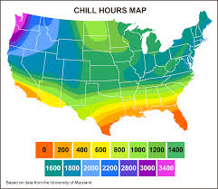Arizona growers and farmers can proudly display the arizona grown logo on their products at no cost. Climate Zones Chill Hours Planting Care Tomorrow S Harvest By Burchell Nursery