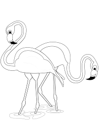 Pink flamingo bird coloring page from flamingos category. Lovely Couple Of Flamingos Coloring Page Free Printable Coloring Pages For Kids