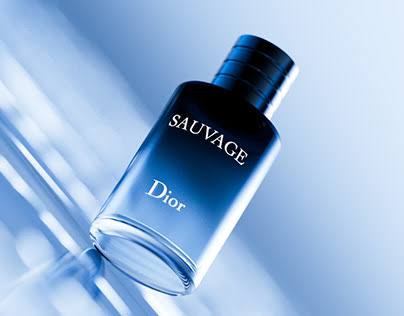 Sauvage Parfum Projects :: Photos, videos, logos, illustrations and  branding :: Behance