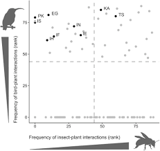 Image result for Sherbournia bignoniiflora