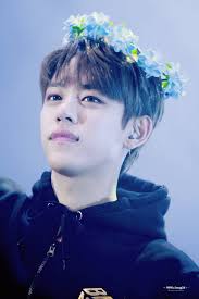 Daehyun B A P Kim Himchan Youngjae K Idols