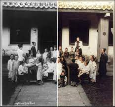 Hence, many folks want to turn a black and white photo into a color picture. Colourisesg