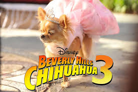 The three miniature pinscher mariachi band are somewhat similar to the four burrowing owl mariachi band from the nickelodeon movie rango papi (george lopez) and chloe with their chihuahua family, and friends live comfortably in beverly hills. We Have A Winner