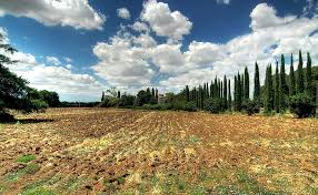 Maybe you would like to learn more about one of these? Classic Italian Landscape Hd Wallpapers Free Download Wallpaperbetter