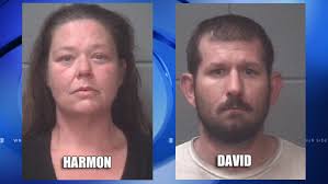 2 arrested following drug investigation in Swansboro area
