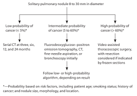 Evaluation Of The Solitary Pulmonary Nodule American