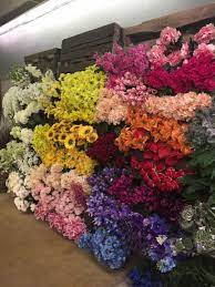 Import already gets flowers wholesale, so you know you're getting the best price. Dreisbach Wholesale Florist Nashville Home Facebook
