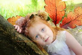 Mummy Roff's Ginger Snaps (Photography)