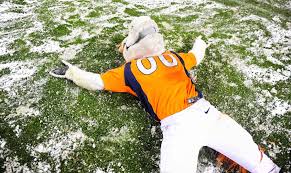 See more ideas about mascot, bronco, denver broncos. Denver Broncos Mascot Miles